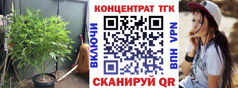 ТГК концентрат Вязьма