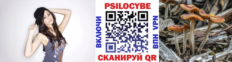 Псилоцибиновые грибы Psilocybine cubensis  кракен ССЫЛКА  Вязьма  где продают  