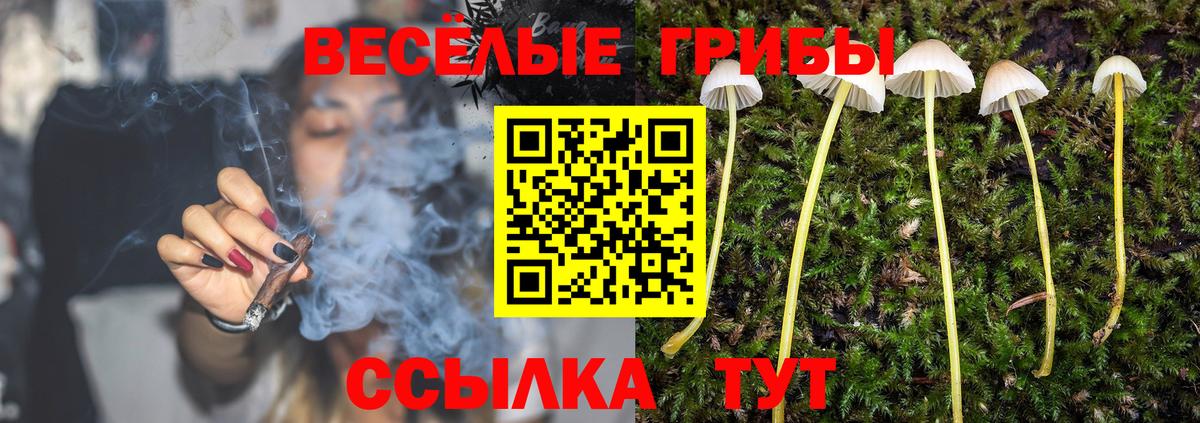 Псилоцибиновые грибы Magic Shrooms  Вход с VPN  Вязьма 